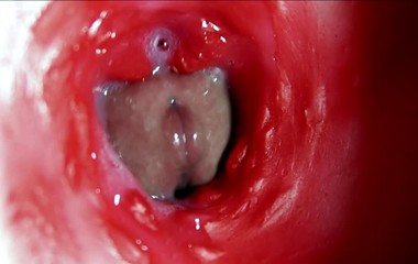 Big orgasm inside the anus! Fantastic moaning orgasm and a lot of sperm!